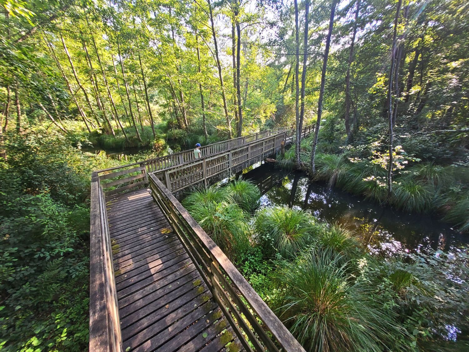 Sentier des Marais — 4 km